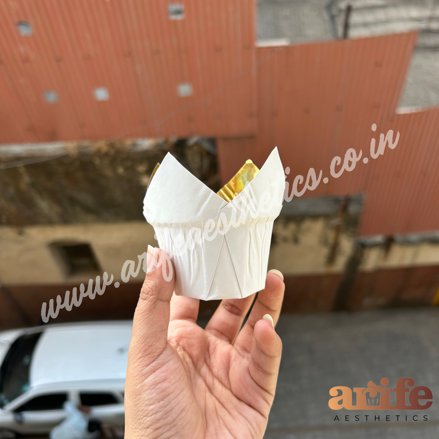 Brown Tulip Liner Metallic 50pcs Pack
