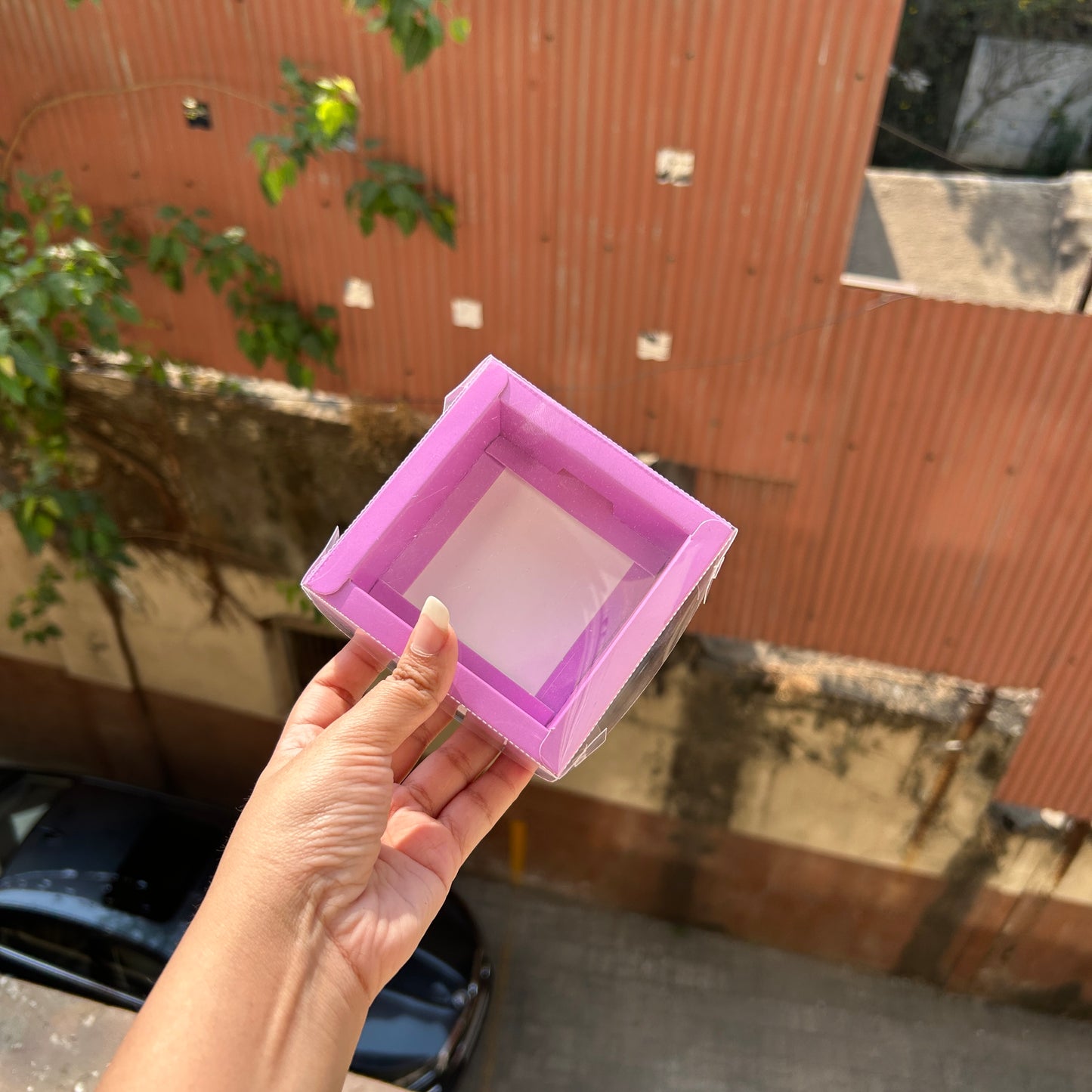 Premium Box (10pcs) New