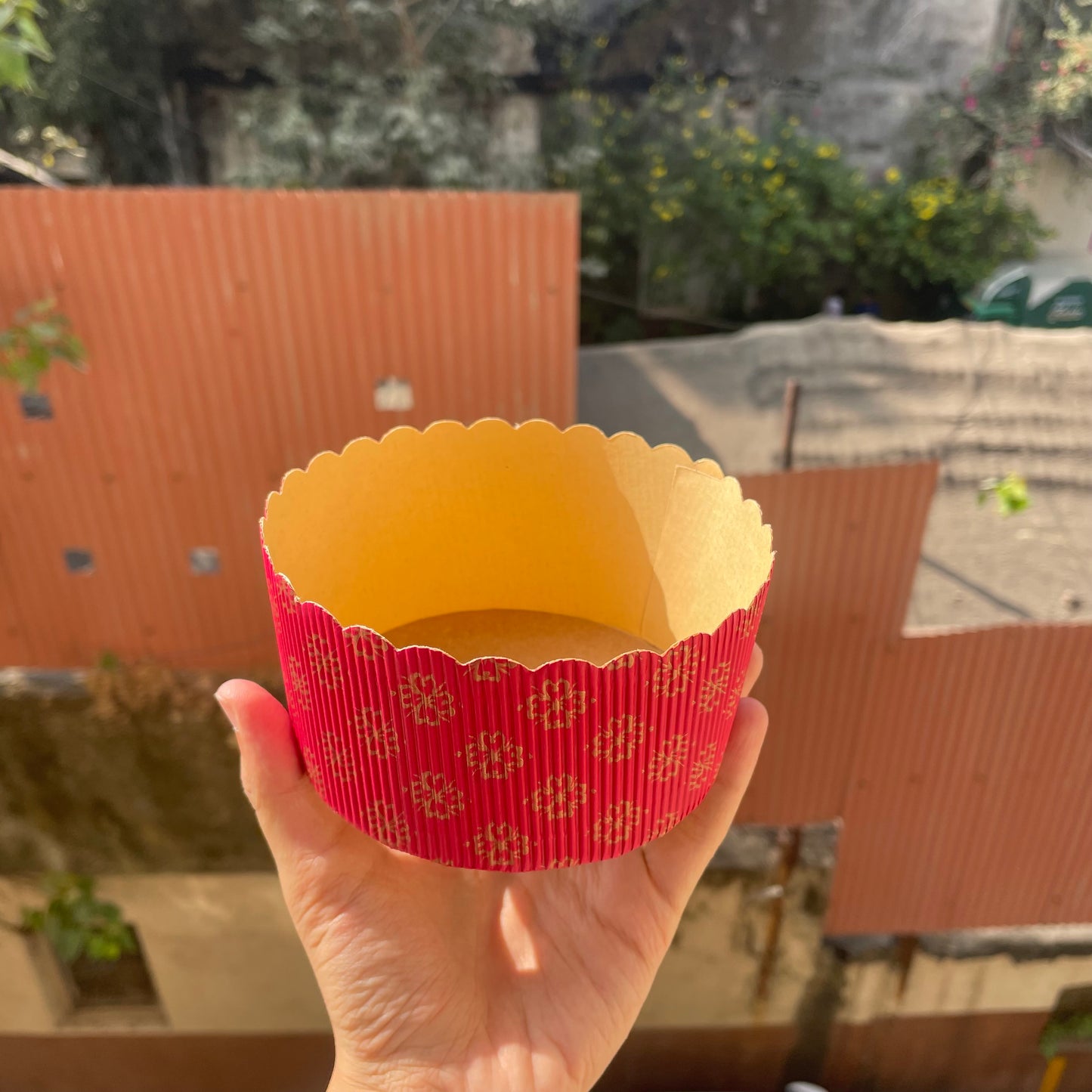 Christmas Round Plum Cake bake and serve small  (10pc)