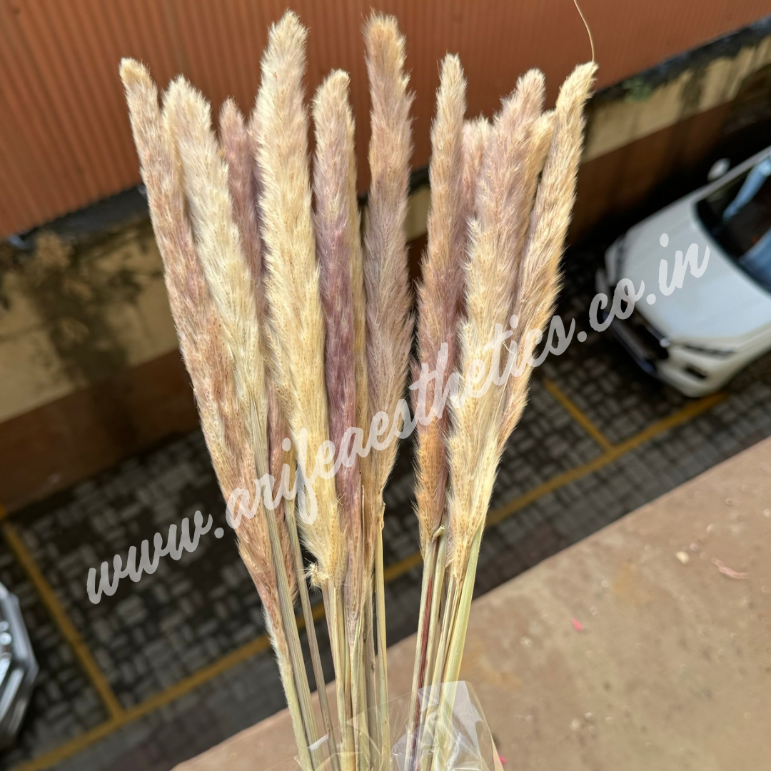 Pampas Stick 5pcs - Artificial Flower