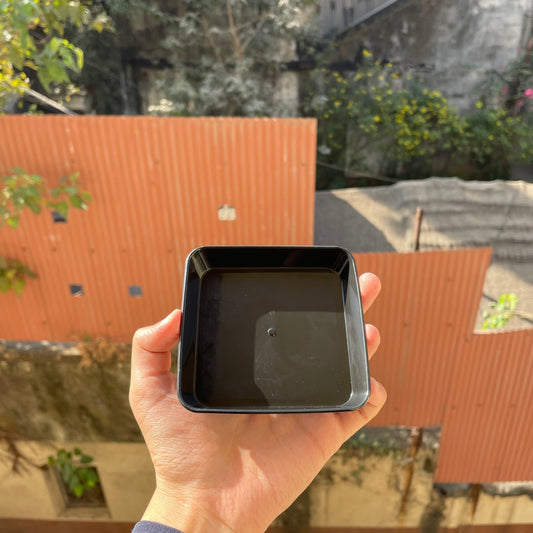 Square Pastry Tray Black (10pc)