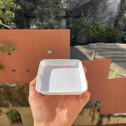 Square Pastry Tray White (10pc)