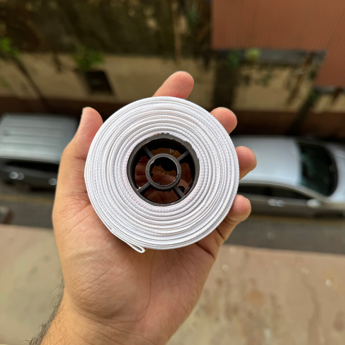 Christmas Ribbon