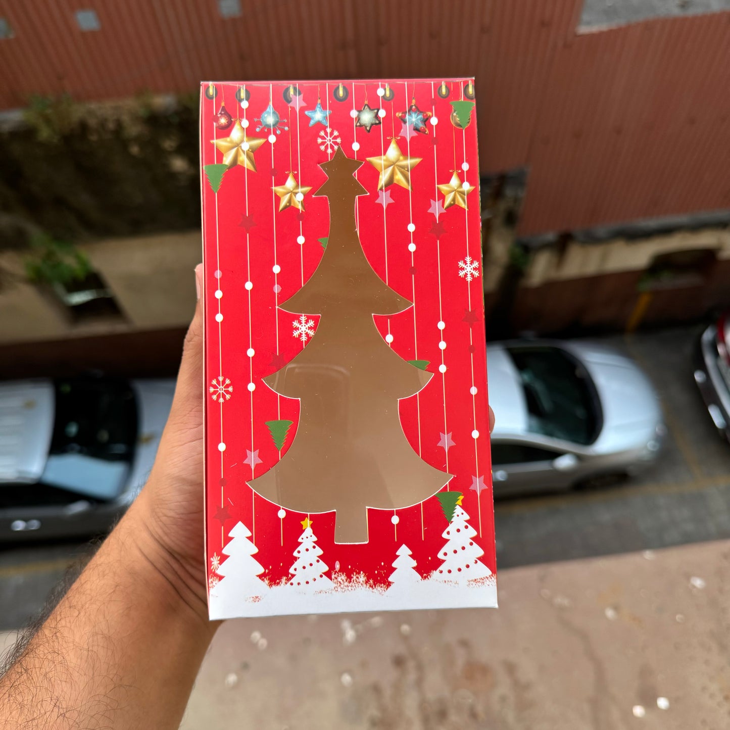 Christmas Plum Box 250gms Red (10pc)