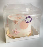 Cake Box Transparent With Handle (10pc) 6x6x6
