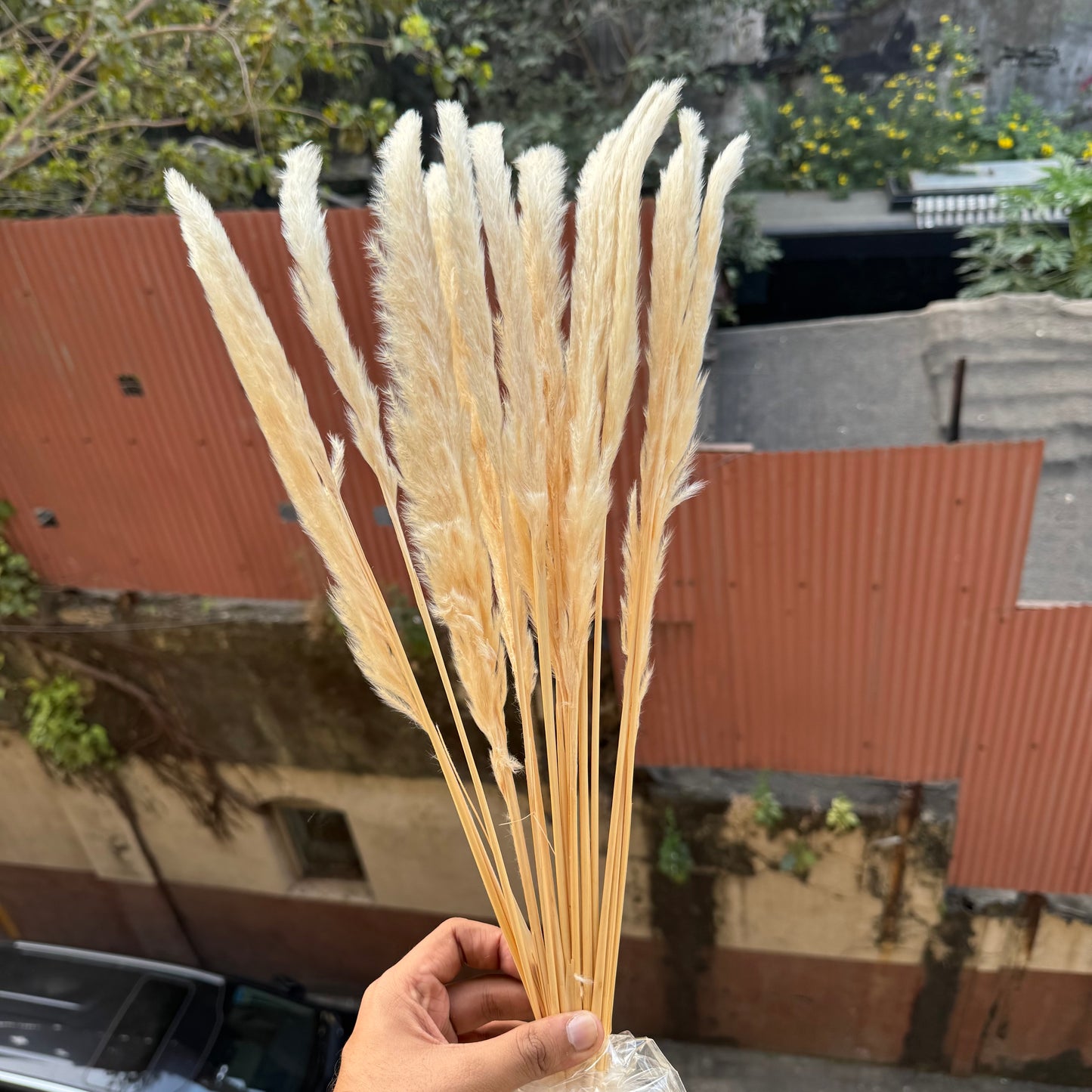 Pampas Stick 5pcs - Artificial Flower