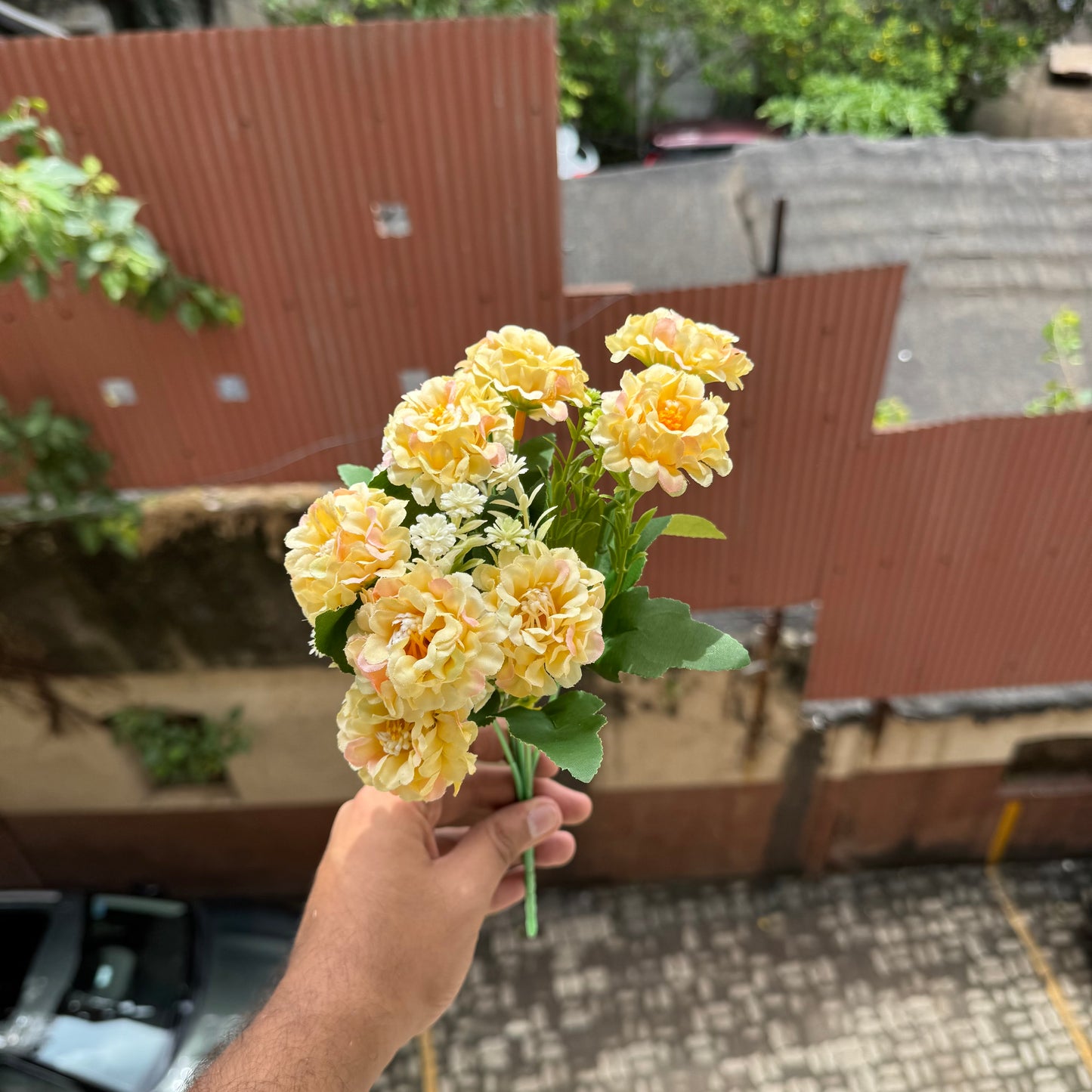 Aster Flower Bunch