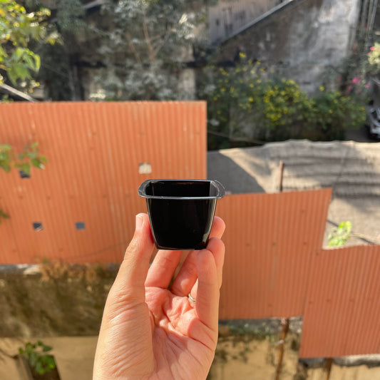 Square Mousse Container 60ML PS18 Black (10pc)