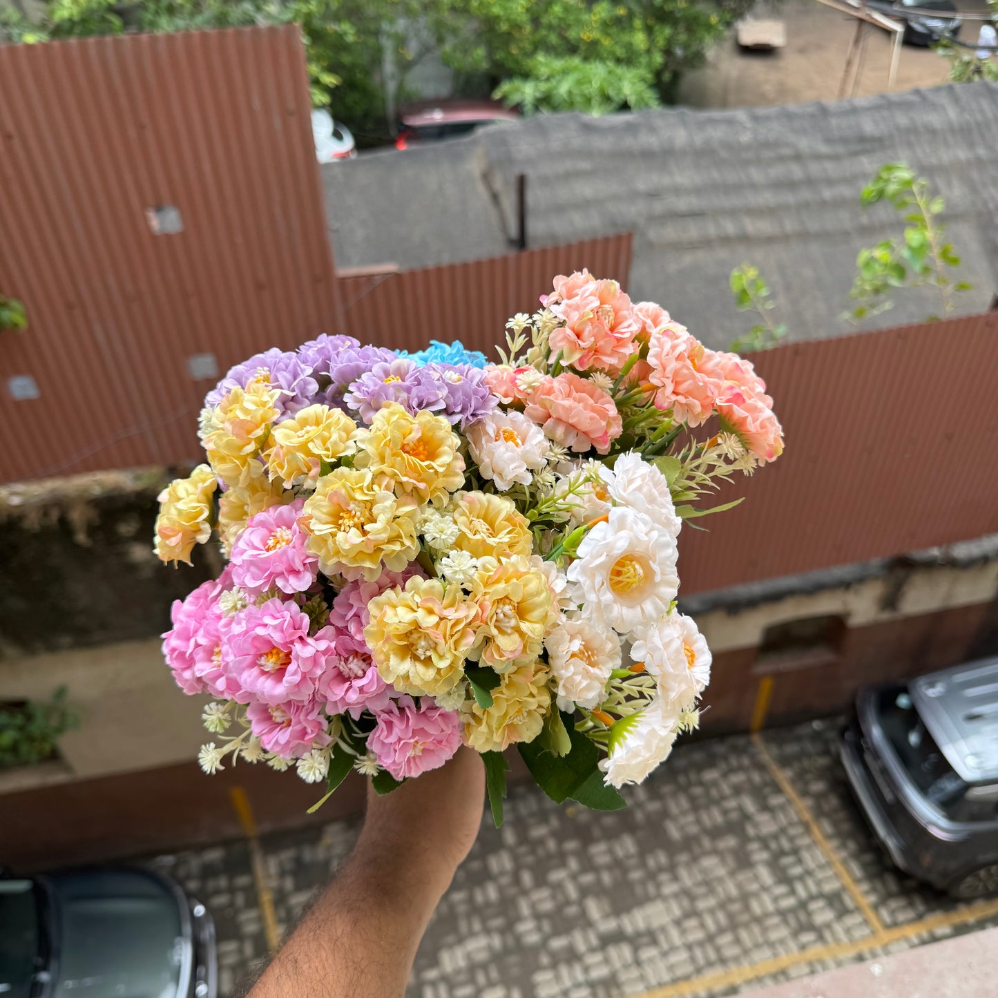 Aster Flower Bunch