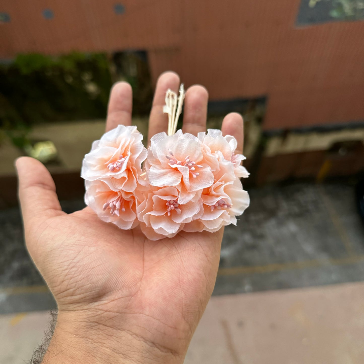 Emily Peony Peach