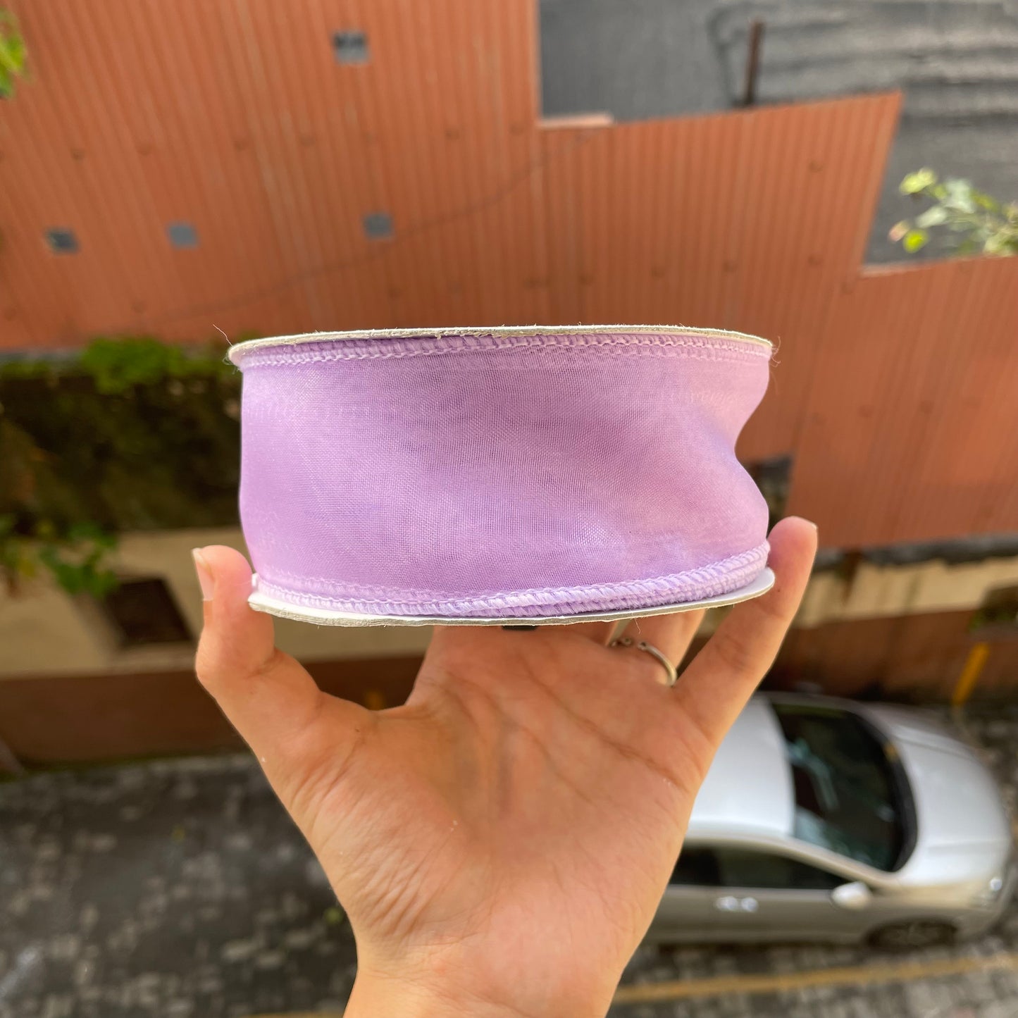 Wired Organza Ribbon