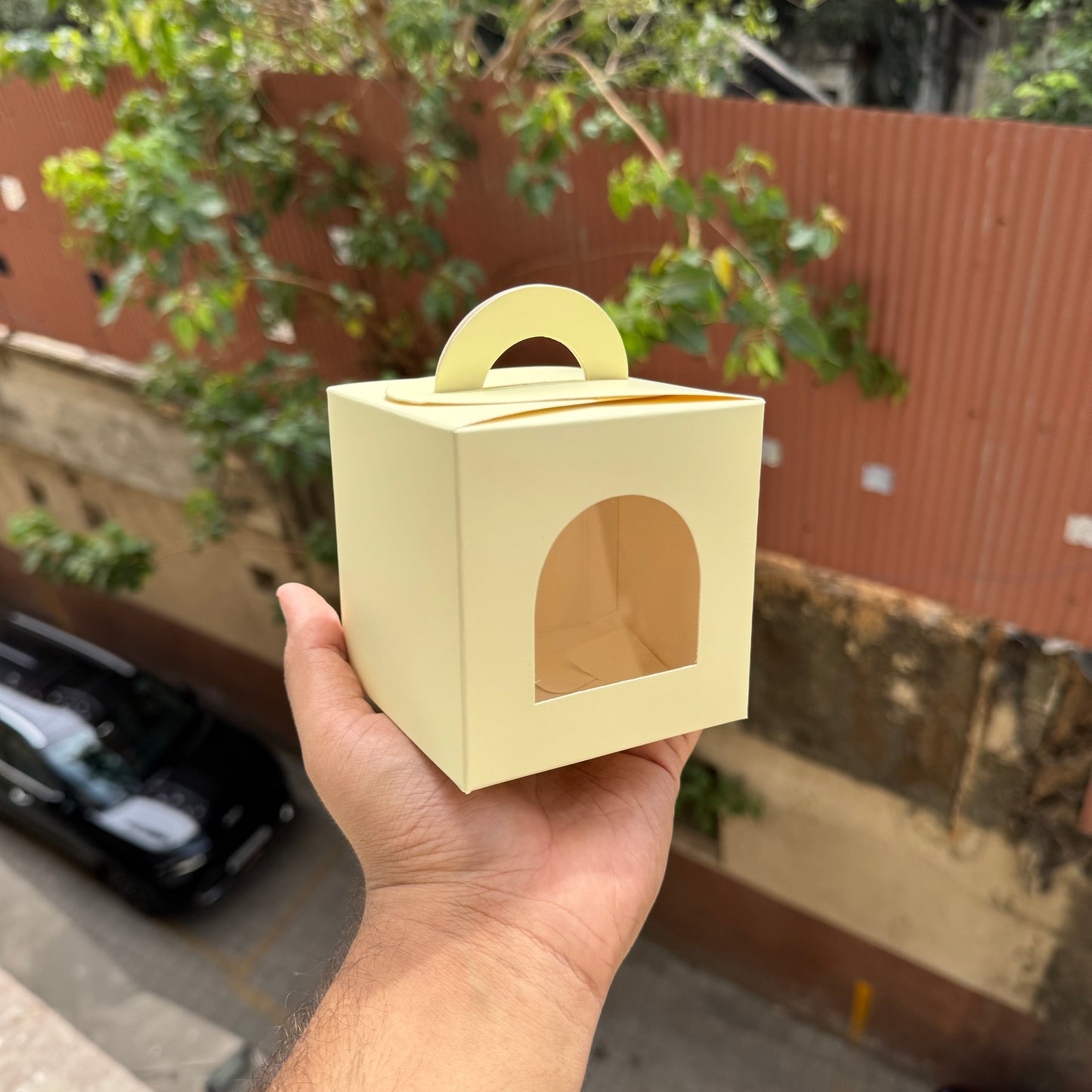 Pastel Lemon Yellow Jar Candle / Single Cupcake Box (10pc)