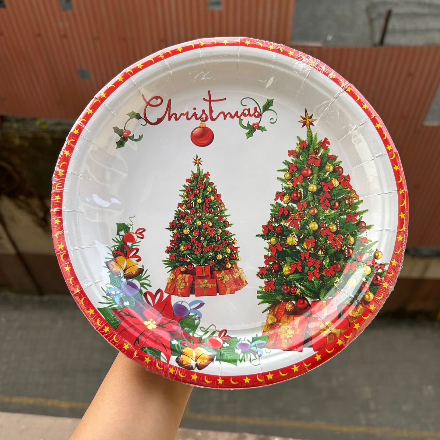 Christmas Disposable - Christmas Plates (10pc)