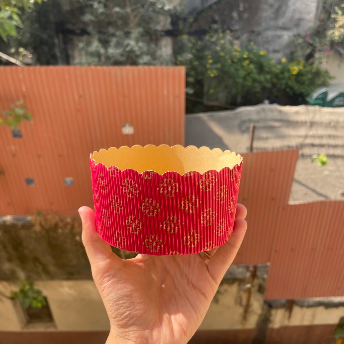 Christmas Round Plum Cake bake and serve small  (10pc)