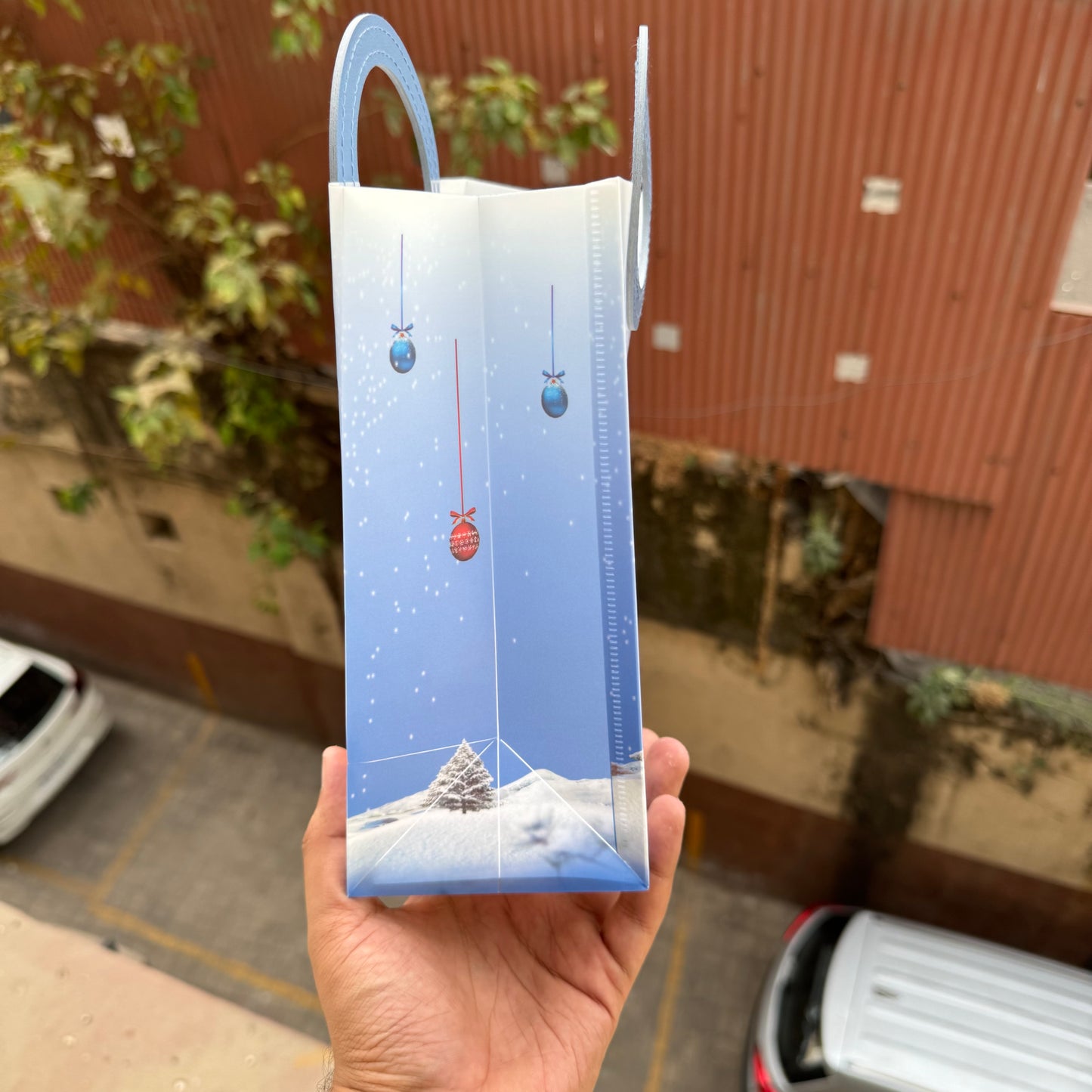 Christmas Hamper Bag (10 pc)