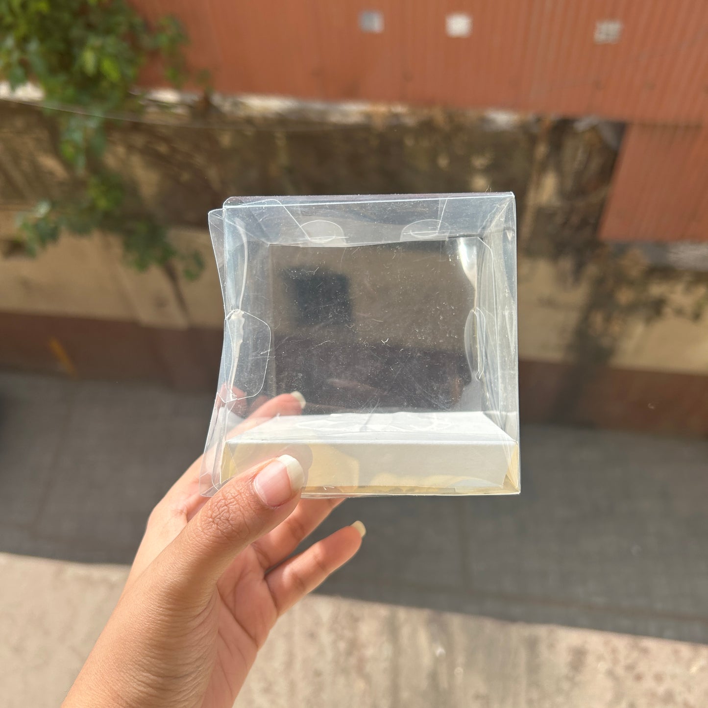 Single Cupcake / Jar Box Transparent (10pc)