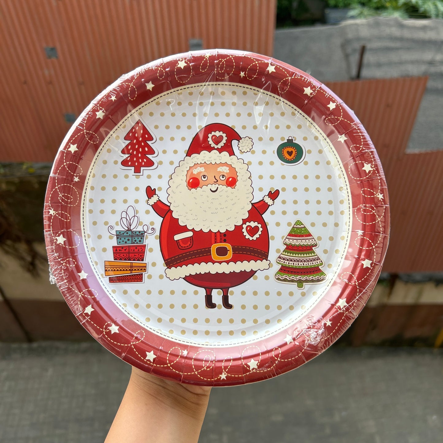 Christmas Disposable - Christmas Plates (10pc)