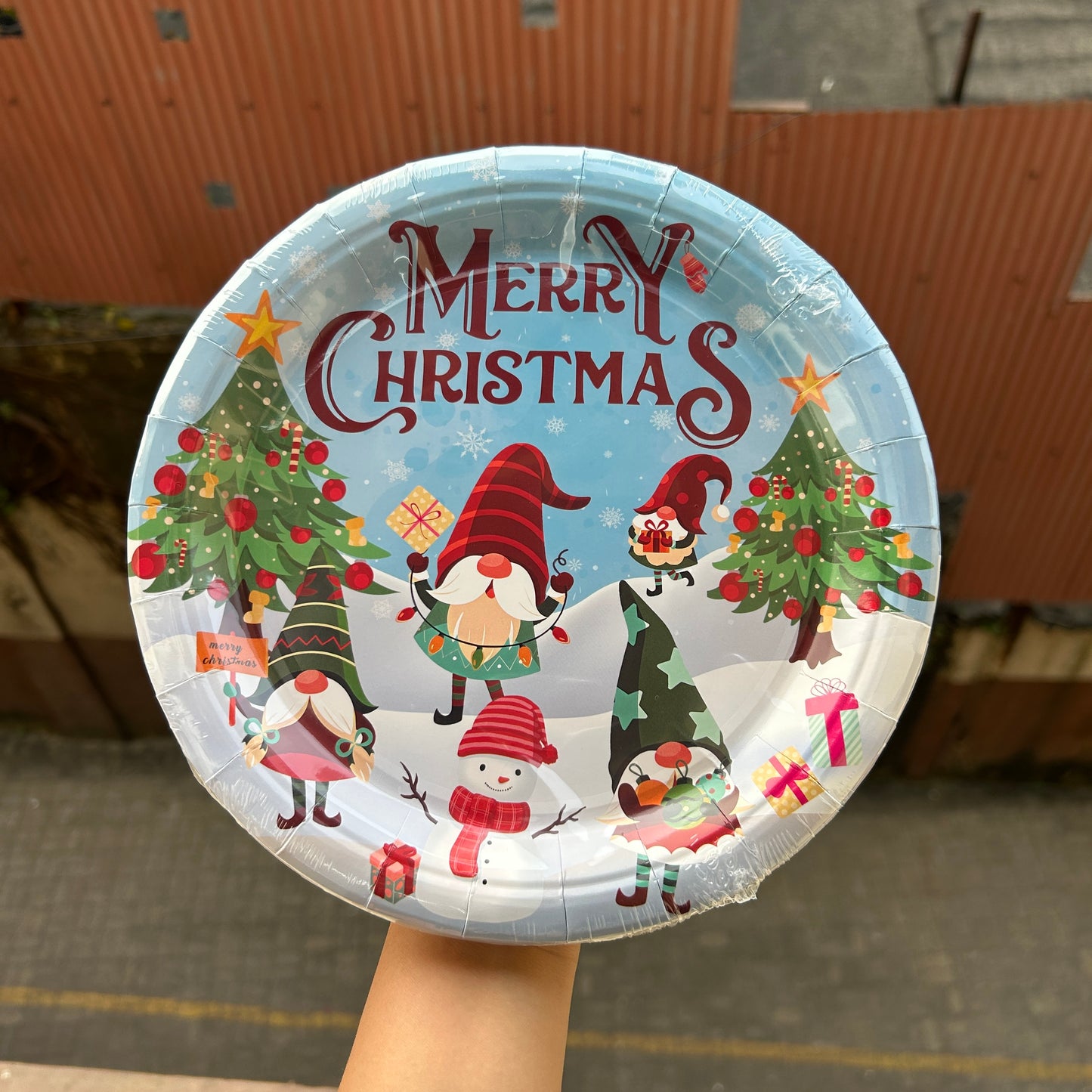 Christmas Disposable - Christmas Plates (10pc)