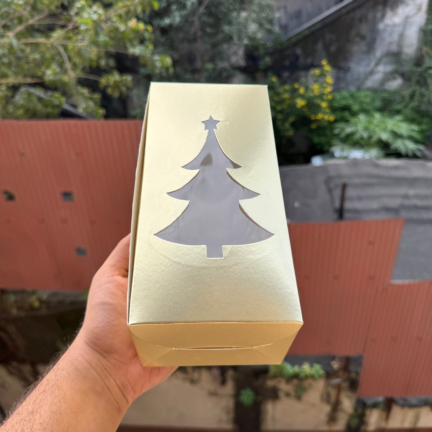 Plum / Bombilini / Rectangle Box (10pc) 250gms Small