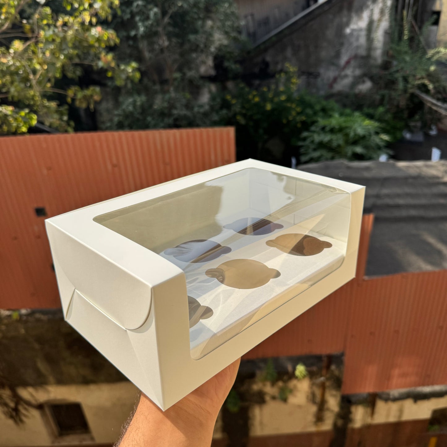 6 Cavity Cupcake Box White Window