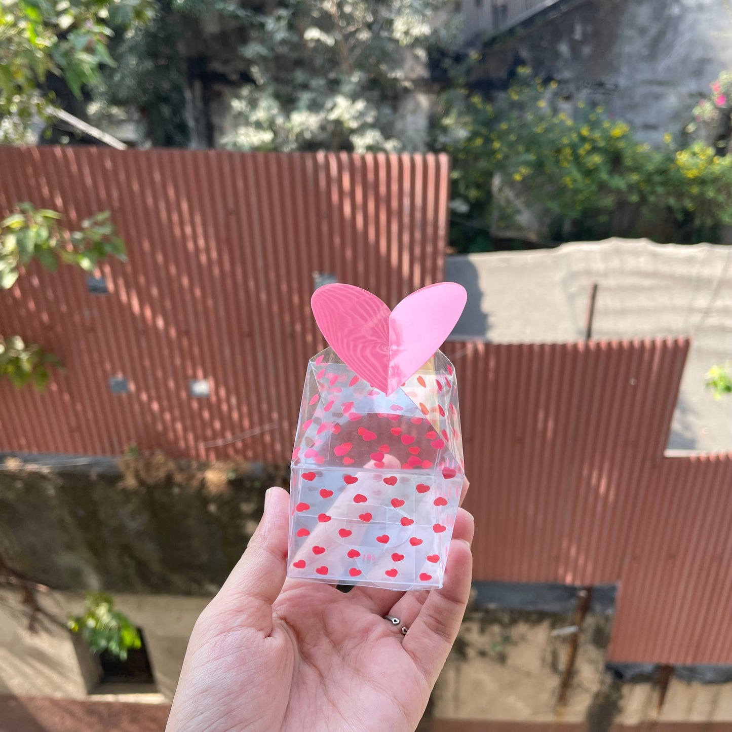 Heart Transparent Box (10 pc)