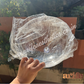 Dome Acrylic Lid 10inch