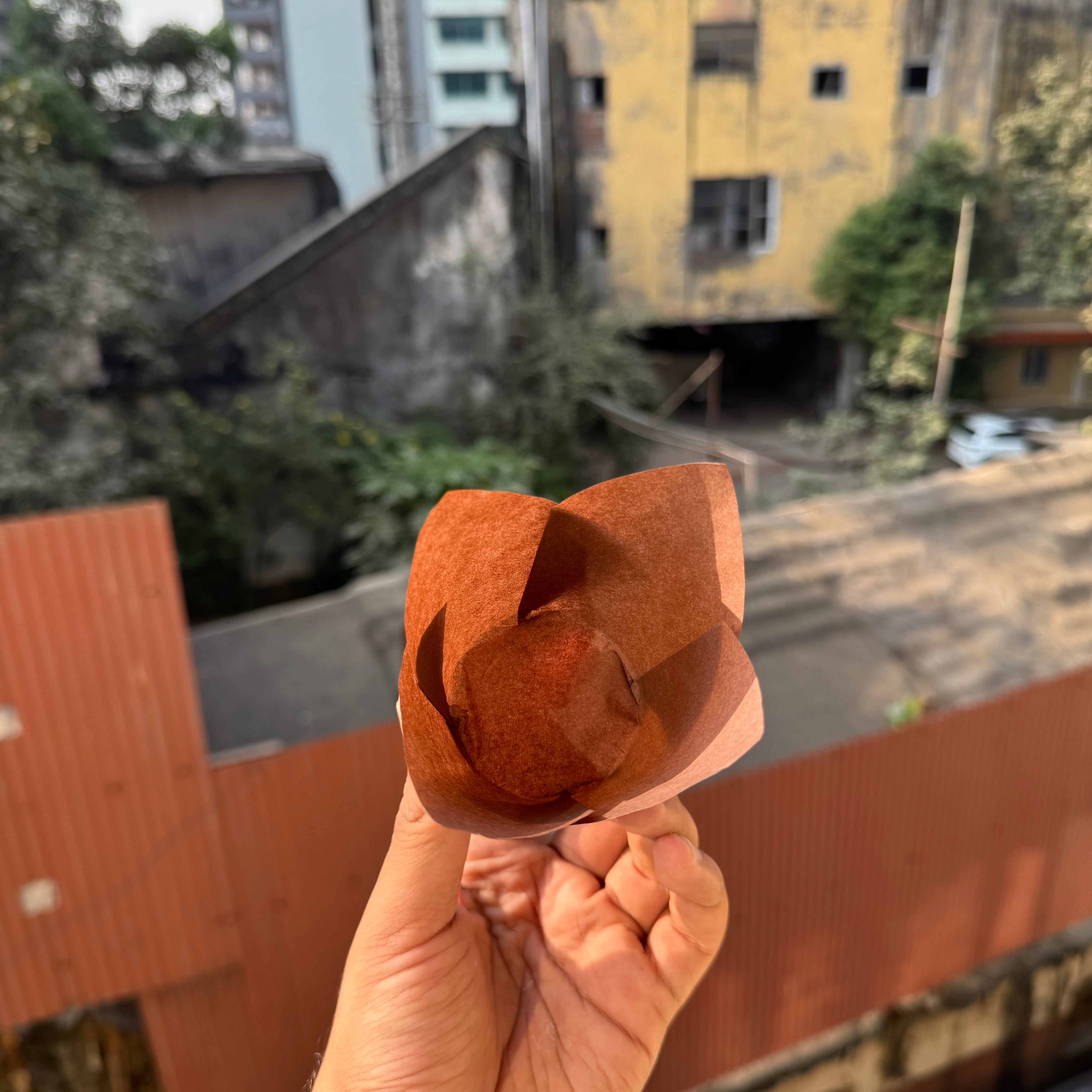 Tulip liner brown paper 50pcs