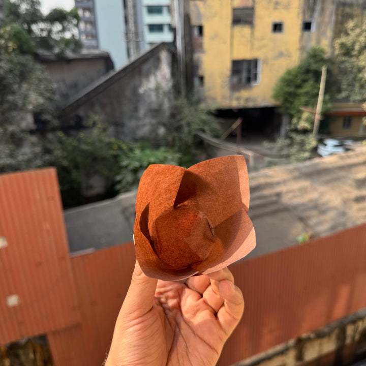 Tulip liner brown paper 50pcs