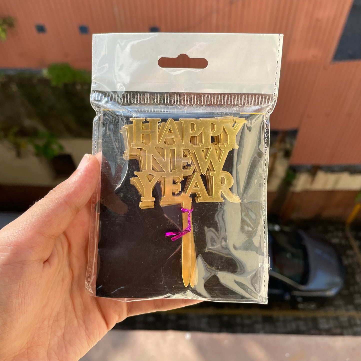 Christmas Tag (10 pc)