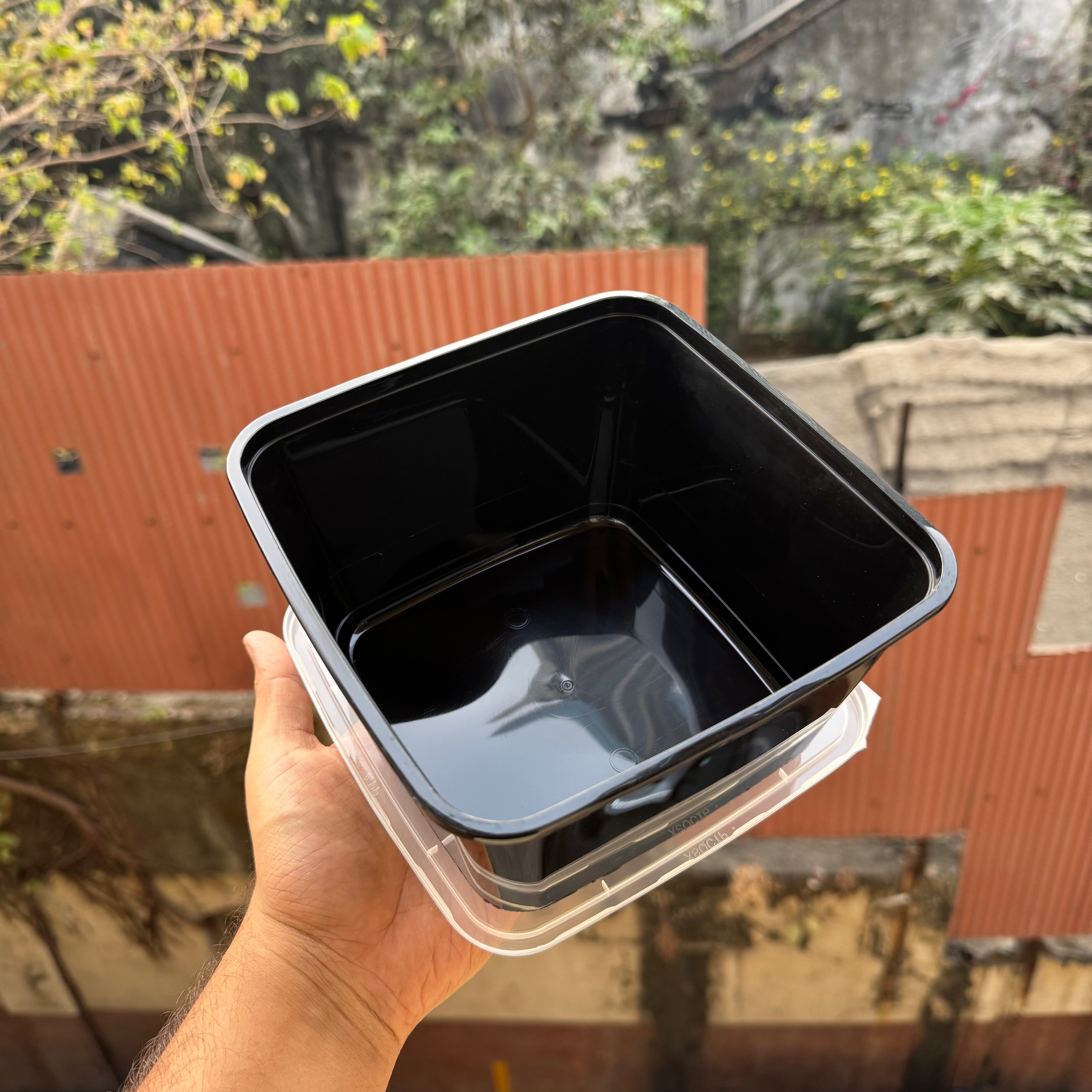 Disposable Container 2000ml (10pc)
