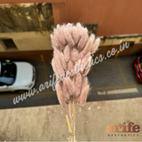 Bunny Tails Mauve