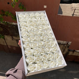 Scented Soap Roses Artificial Flower For Cake Decoration (50pc)