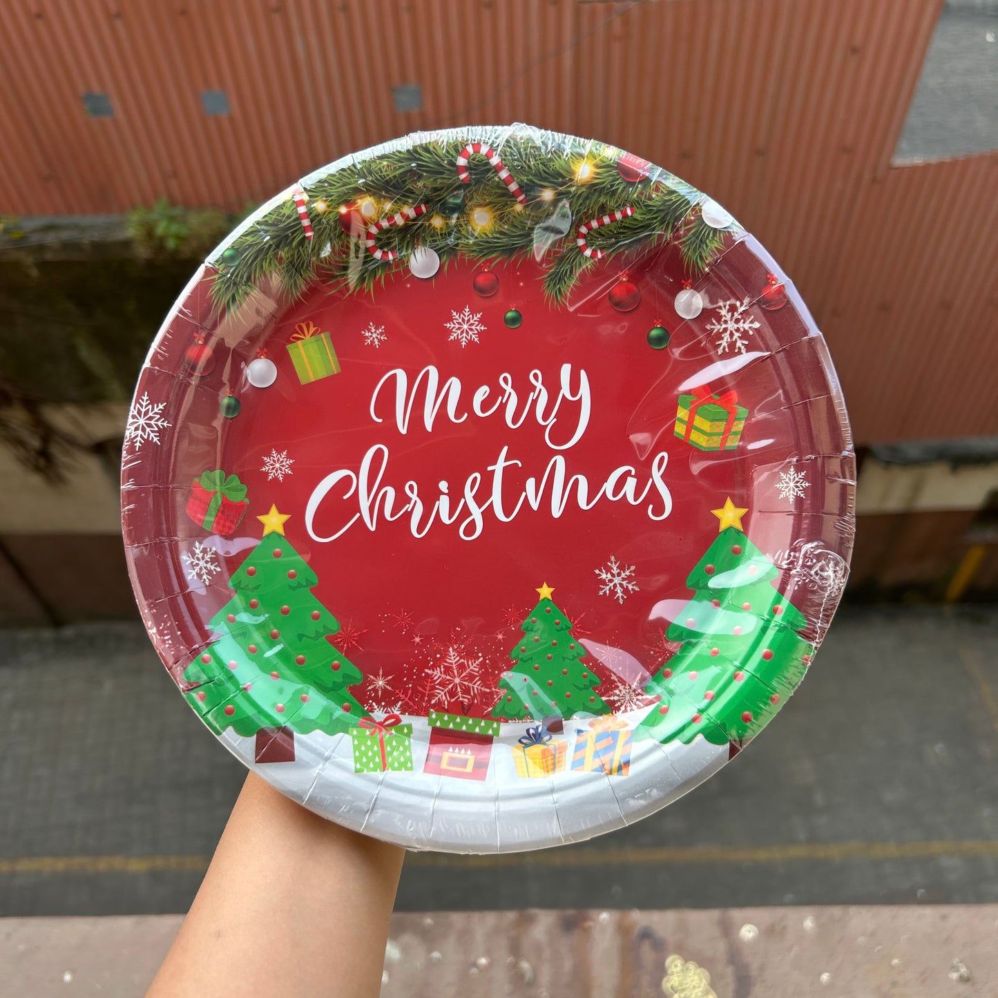 Christmas Disposable - Christmas Plates (10pc)