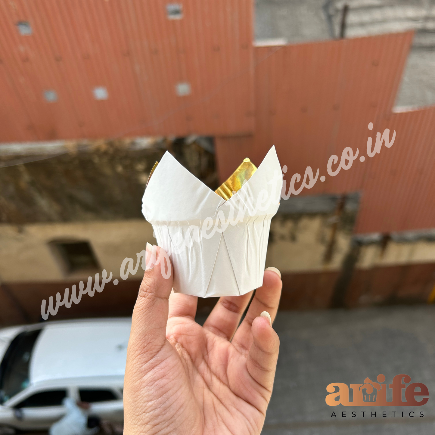 Tulip Liner Metallic 50pcs Pack