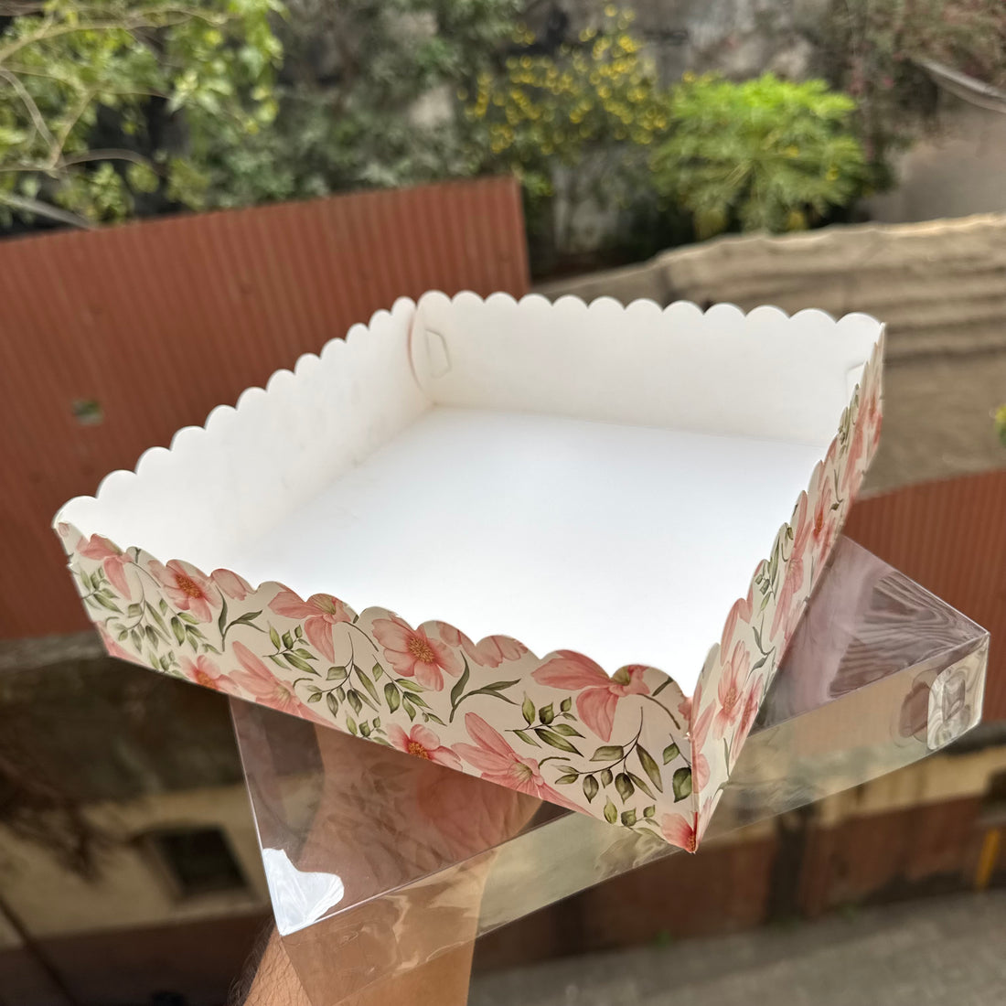 Square Frill Box With Lid (10pc) • BIG - PRINTED