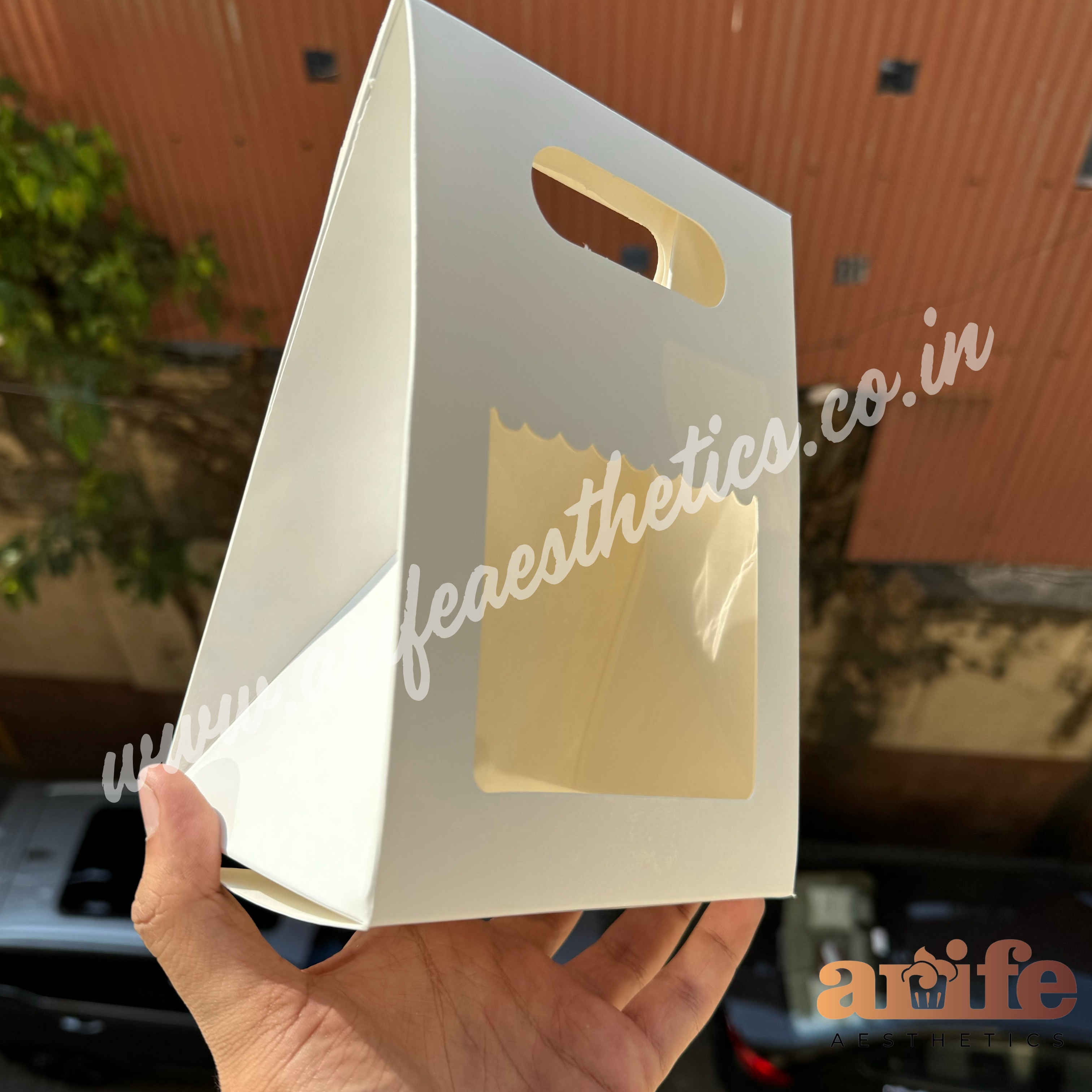 Single Mason Jar Bag (10 pc)