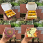 Kohinoor Collection 4Cavity Box For Chocolates / Brownies / Truffles / Candles and More with Gold Foiling Detailing (10pc) WITH Cavity