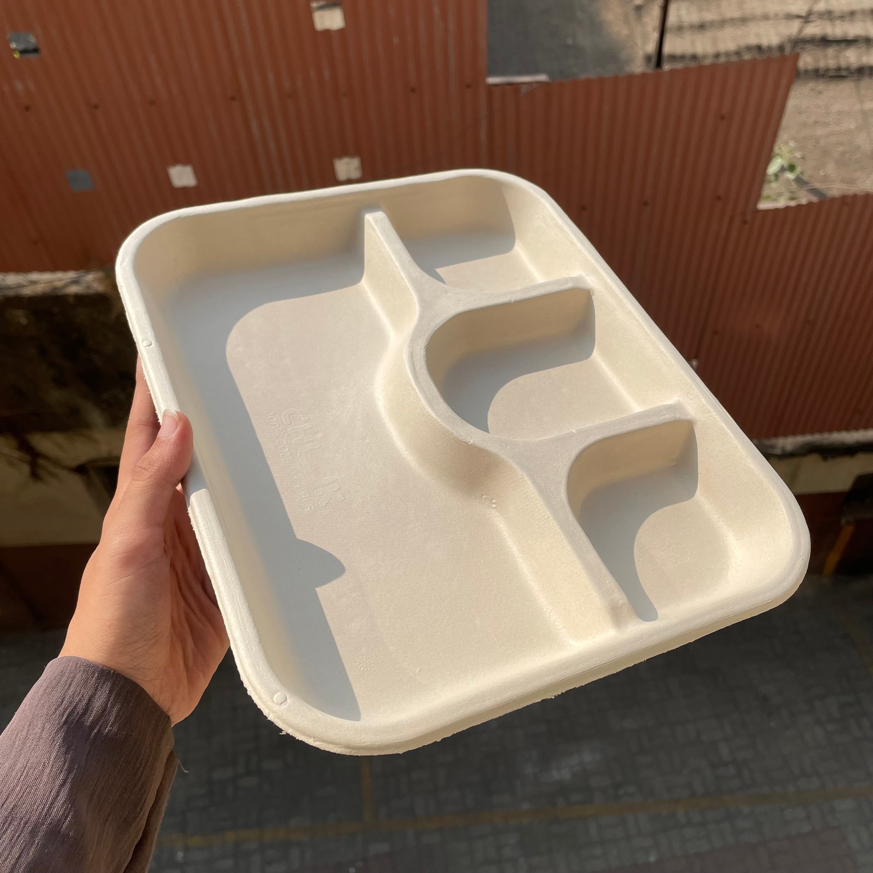 Disposable Bagasse Plates (25pcs)