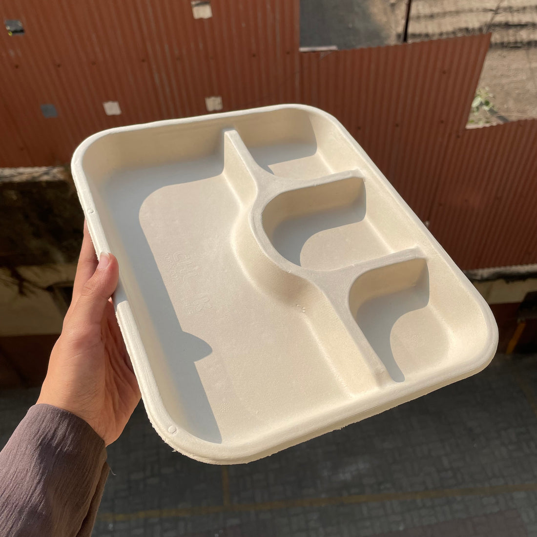 Disposable Bagasse Plates (25pcs)
