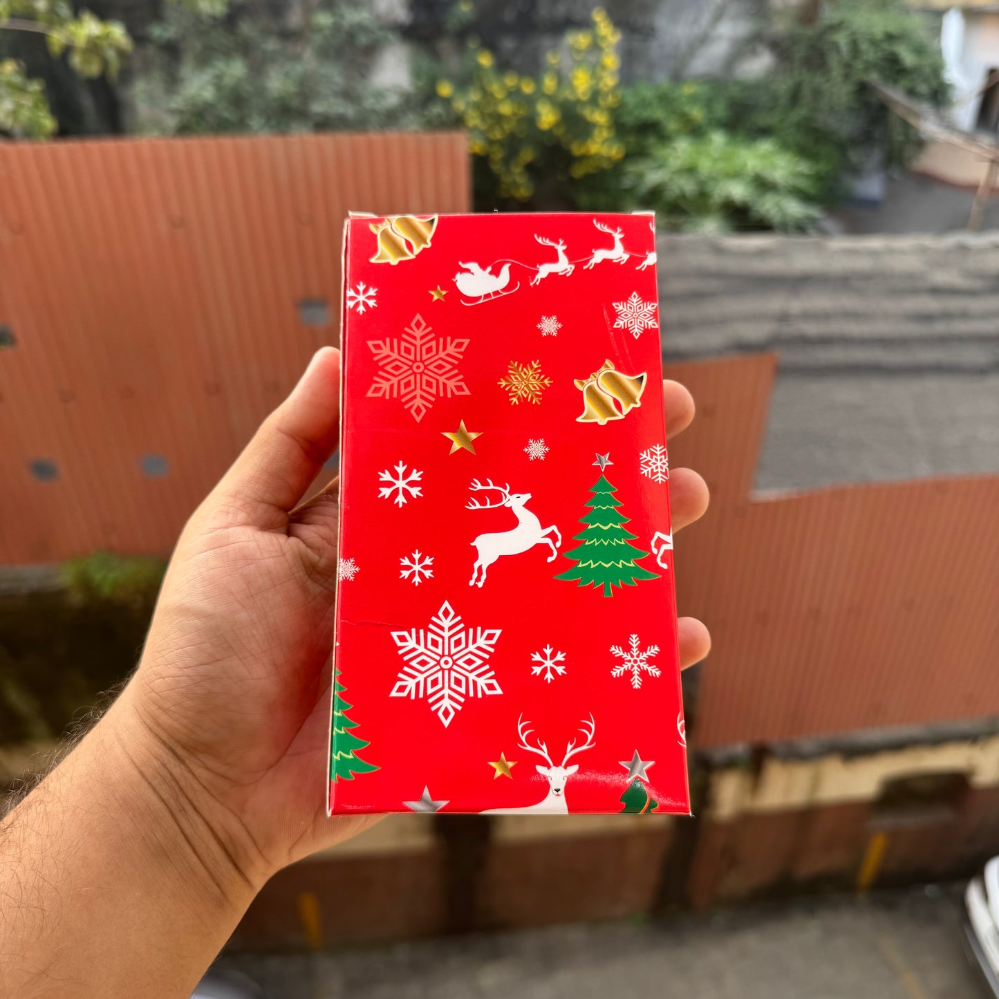 Christmas Bar Box (10 pc)