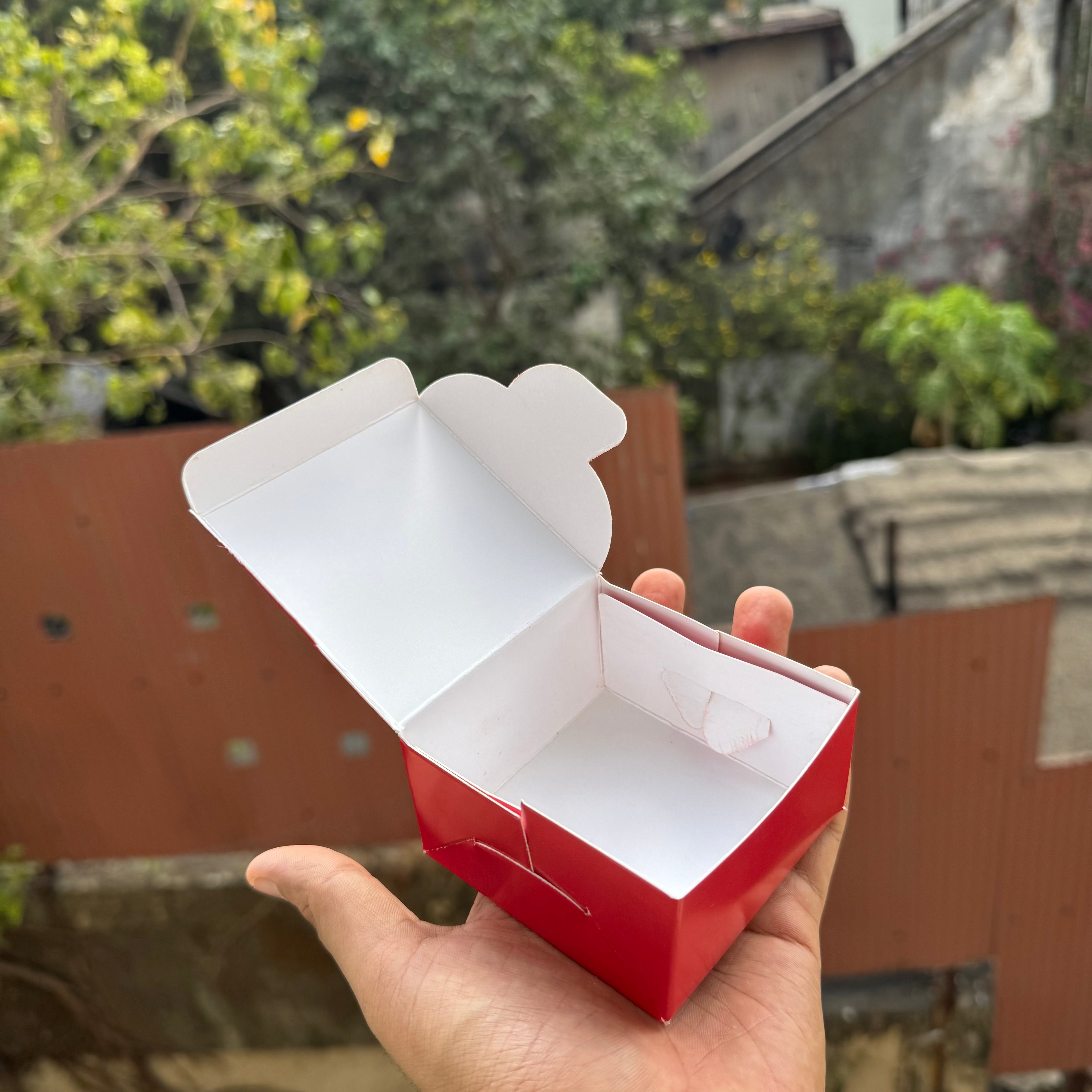 Rakhi Single Brownie Box (10pc)