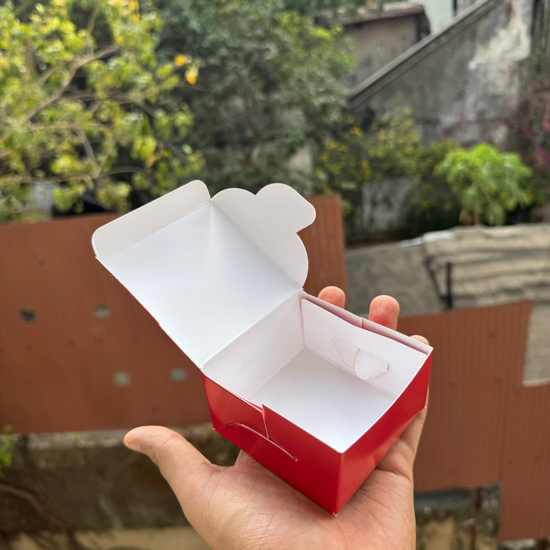 Rakhi Single Brownie Box (10pc)