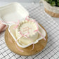 Bento Cake Box 9”