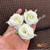 Artificial Roses 5pc Pack