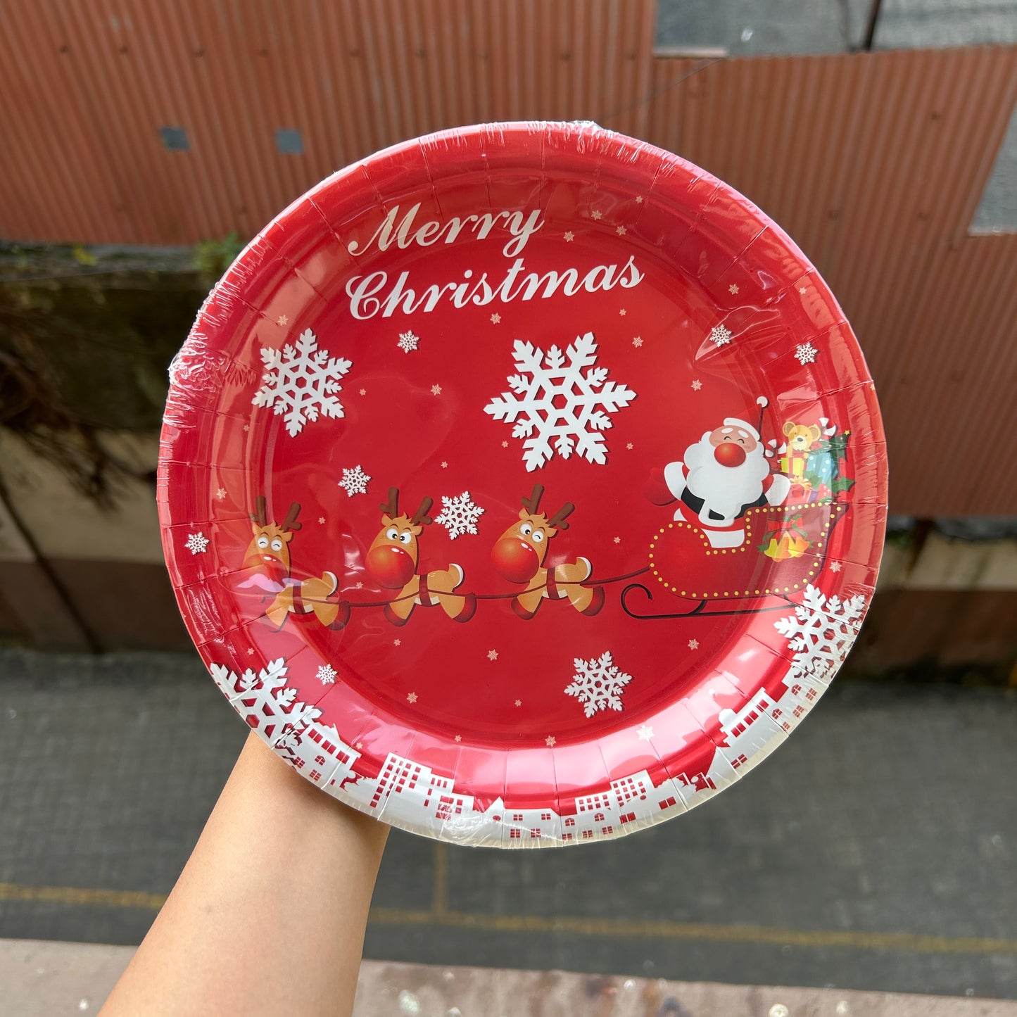 Christmas Disposable - Christmas Plates (10pc)