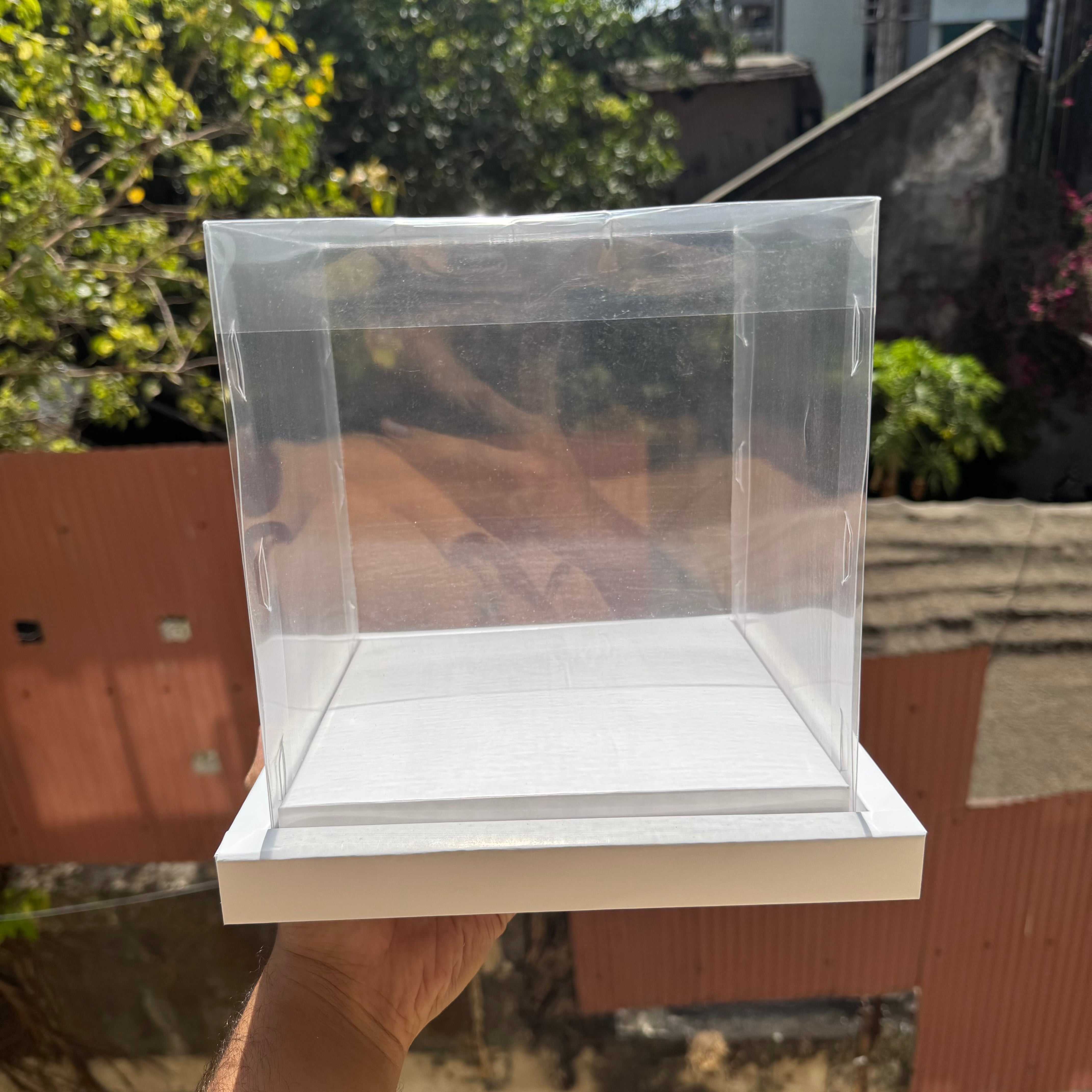 Full Display Cake Box 6x6x7inch 1pc