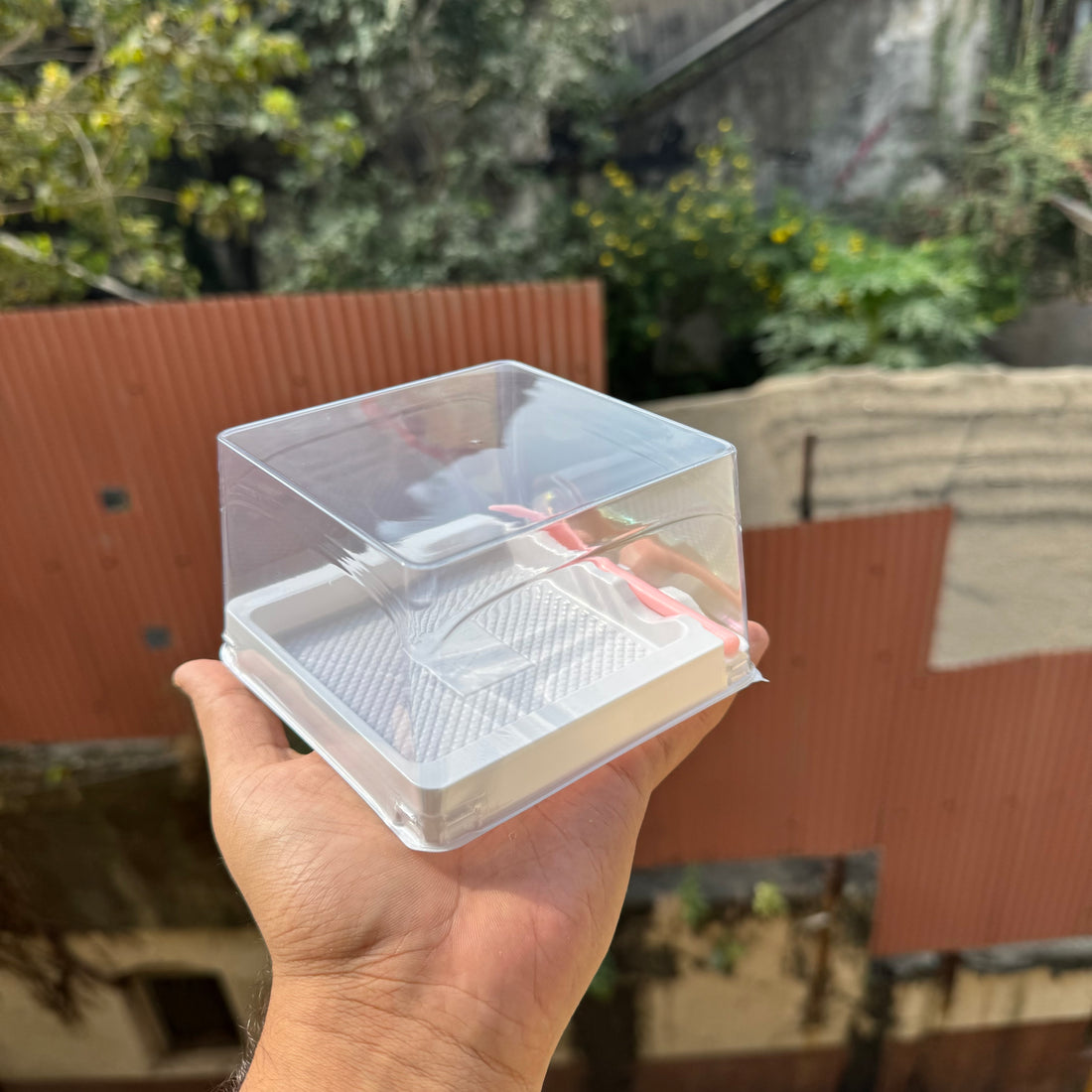 Square Pastry / Cheesecake Container (10pc)