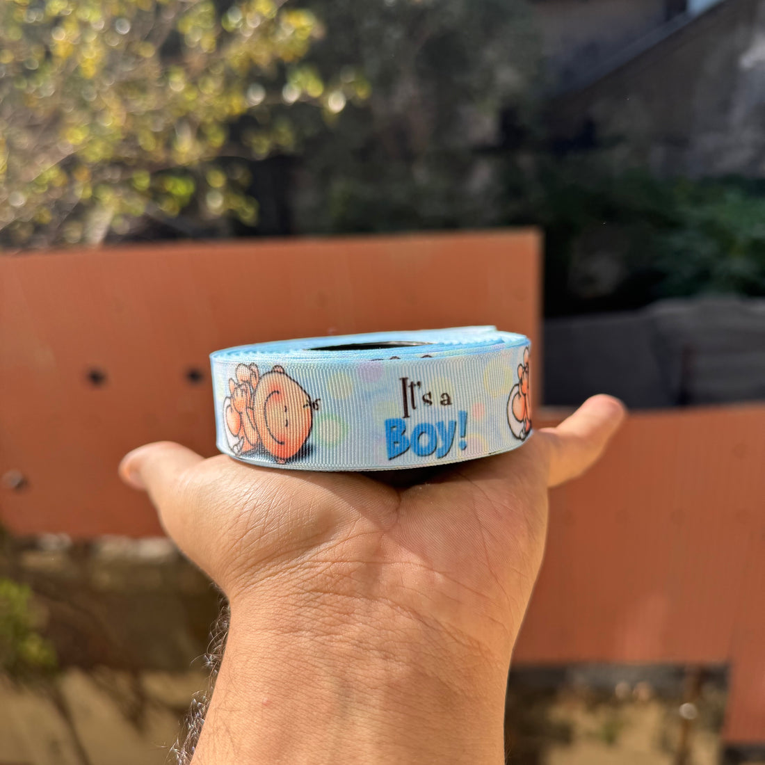 Baby Boy - Ribbon Roll (1pc)
