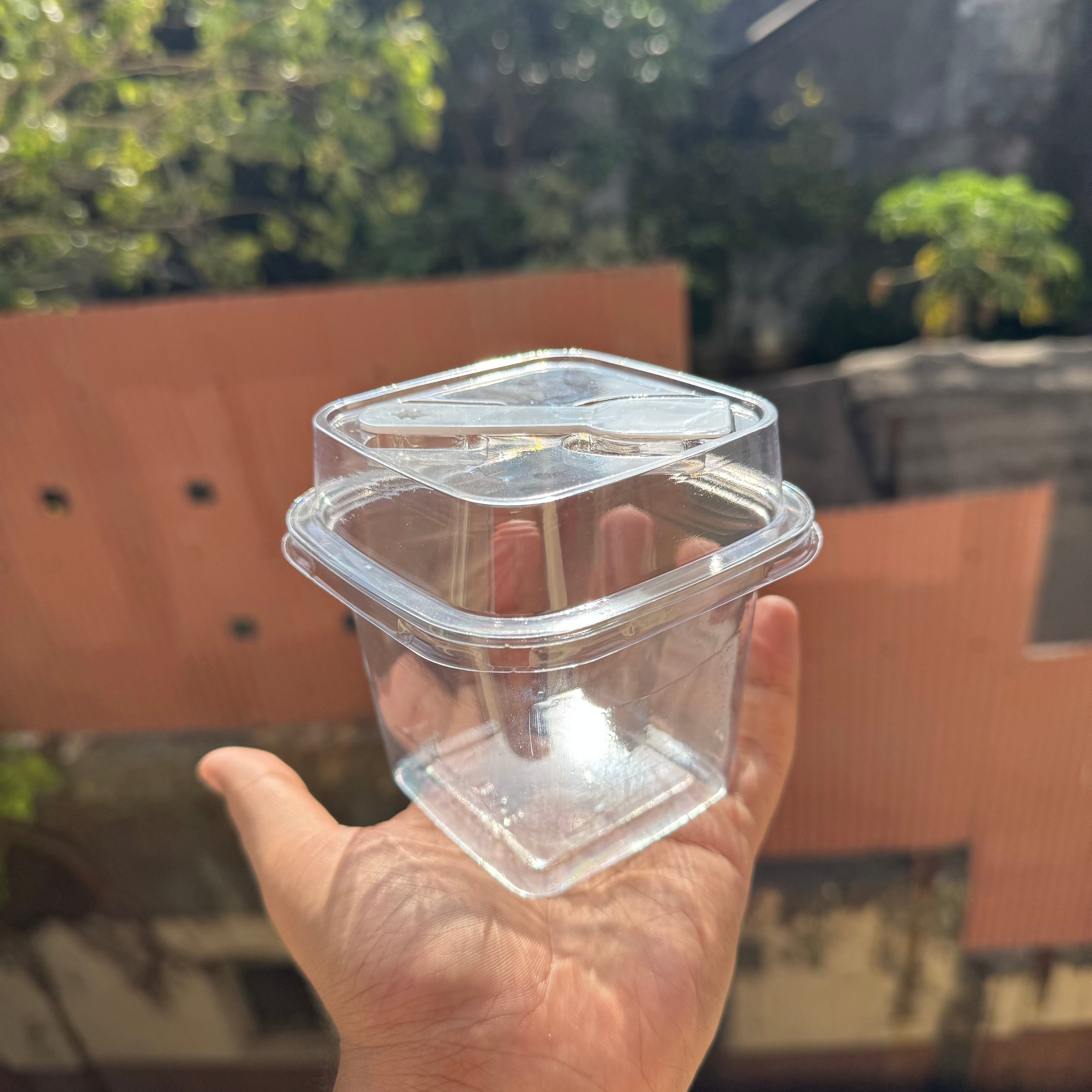 PVC Dessert Container With Spoon (10pc) • B10-8