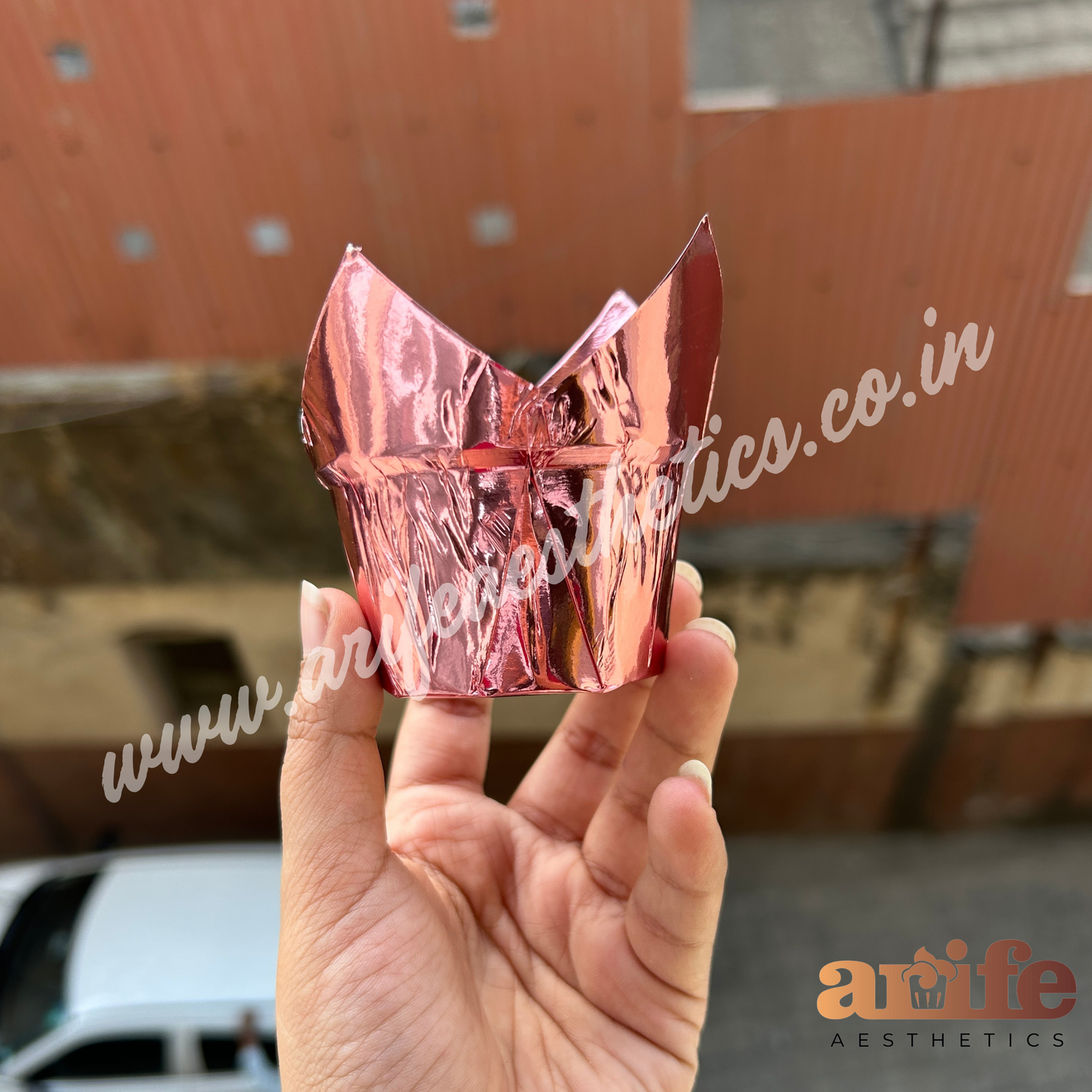 Tulip Liner Metallic 50pcs Pack